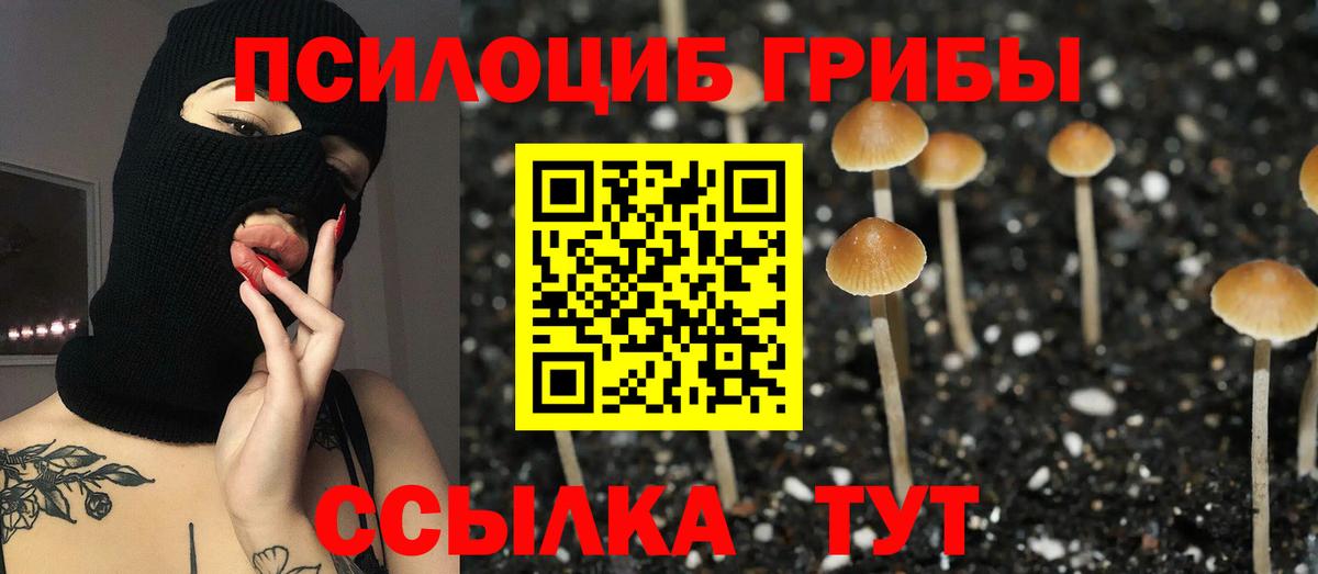 цена   Вход с VPN  Северск  Галлюциногенные грибы мицелий 